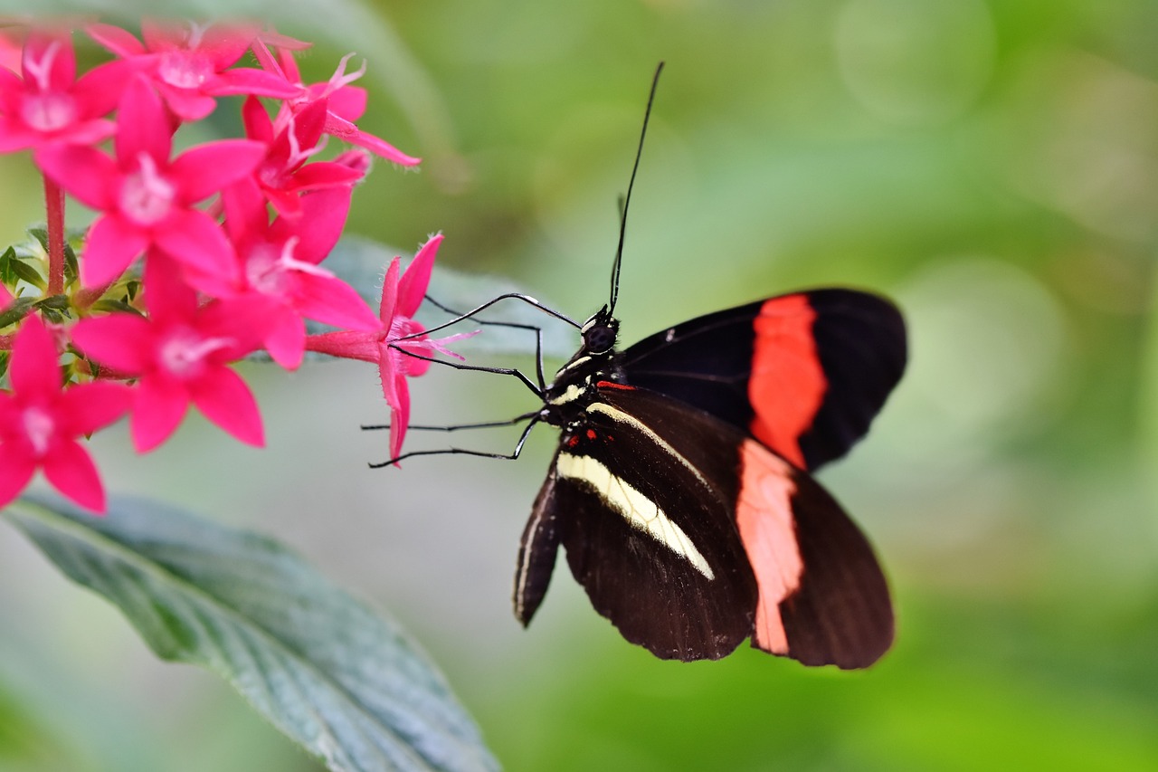 How to Grow Exotic Plants in Your Garden